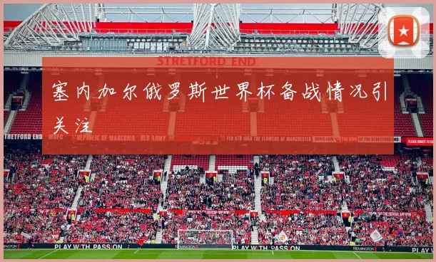 塞内加尔俄罗斯世界杯备战情况引关注