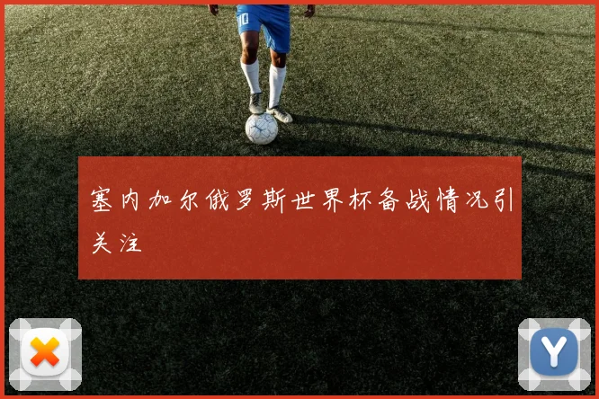 塞内加尔俄罗斯世界杯备战情况引关注