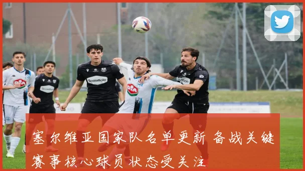 塞尔维亚国家队名单更新 备战关键赛事核心球员状态受关注