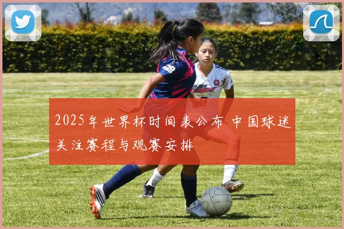 2025年世界杯时间表公布 中国球迷关注赛程与观赛安排